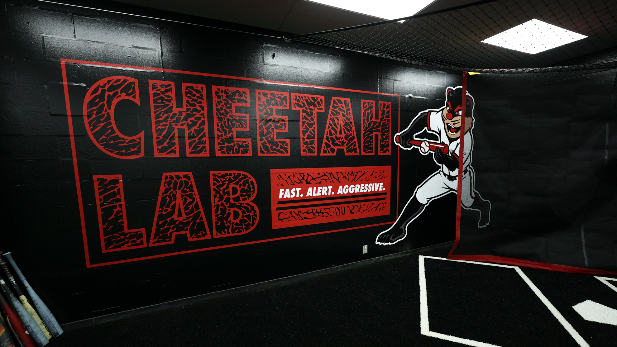 Cincinnati Baseball news